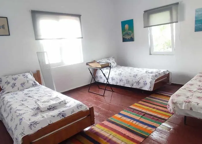 Stuffstock בית אירוח