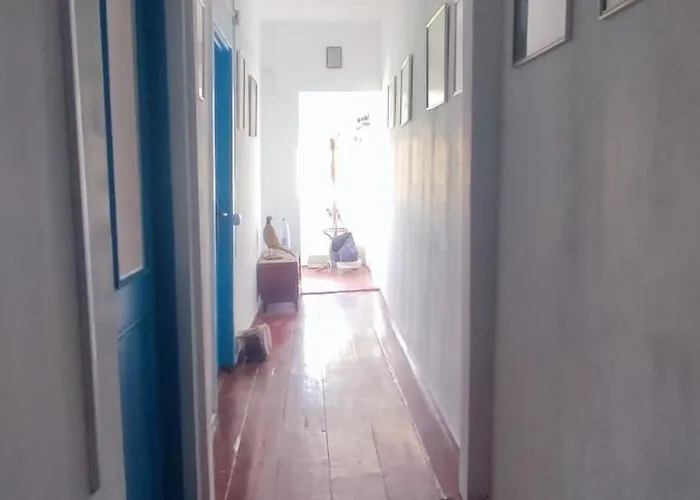 Stuffstock סולינה