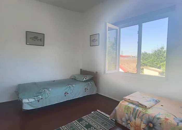 בית אירוח Stuffstock