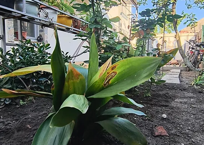 Stuffstock Ubytování v soukromí Sulina