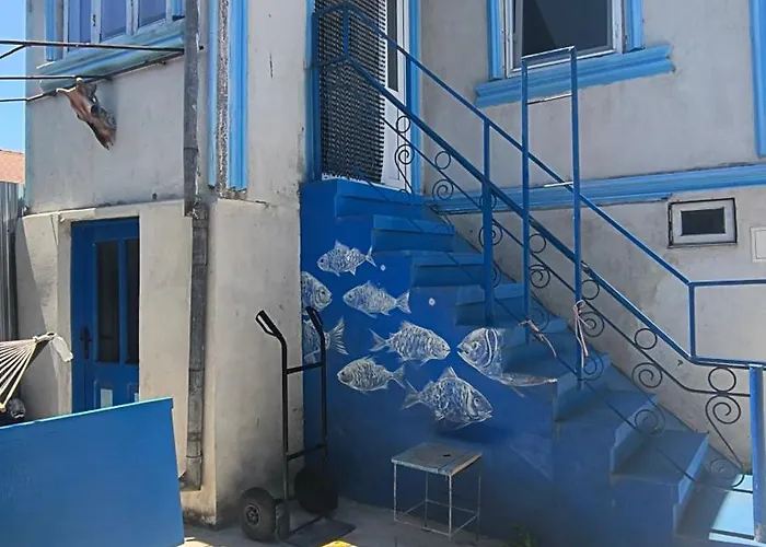 Stuffstock בית אירוח סולינה